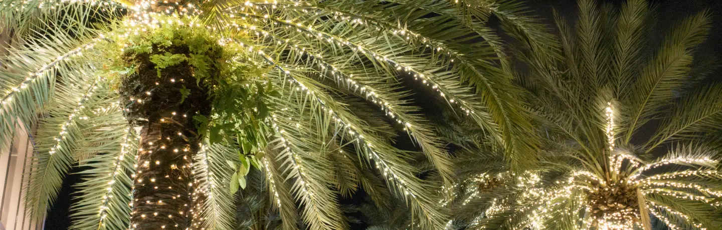 A "Winter" Wonderland in South Florida for the Holidays