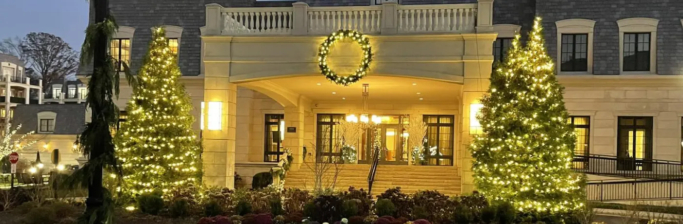 Seasonal light display trees