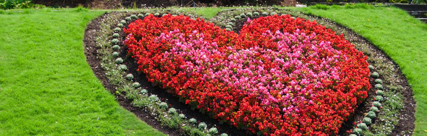 Romantic Landscaping Ideas for Valentine's Day