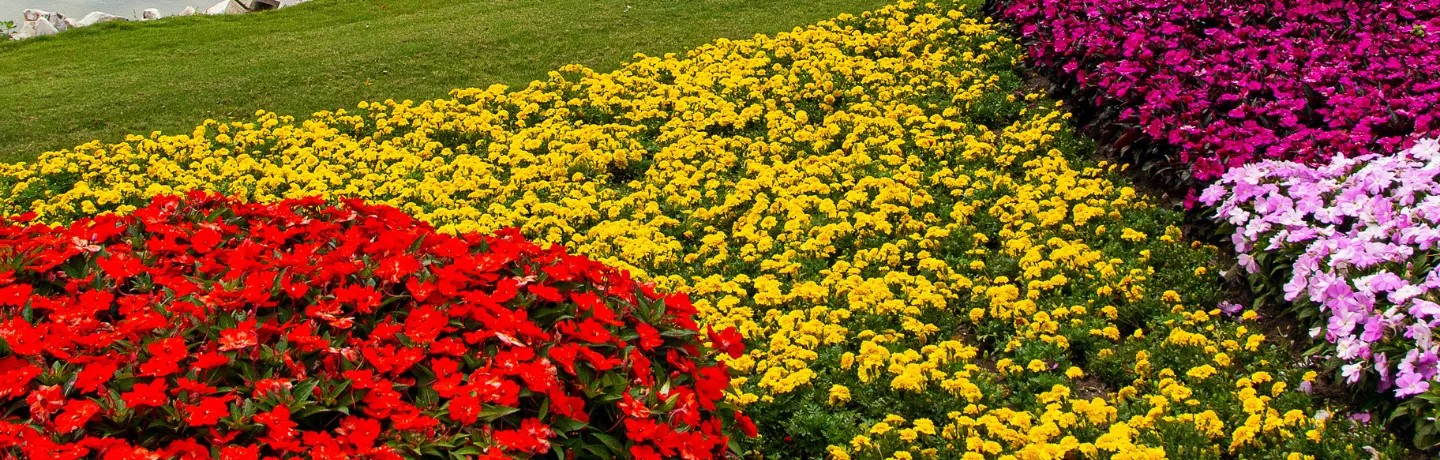 Planning Your South Florida Garden Makeover with BrightView Landscaping