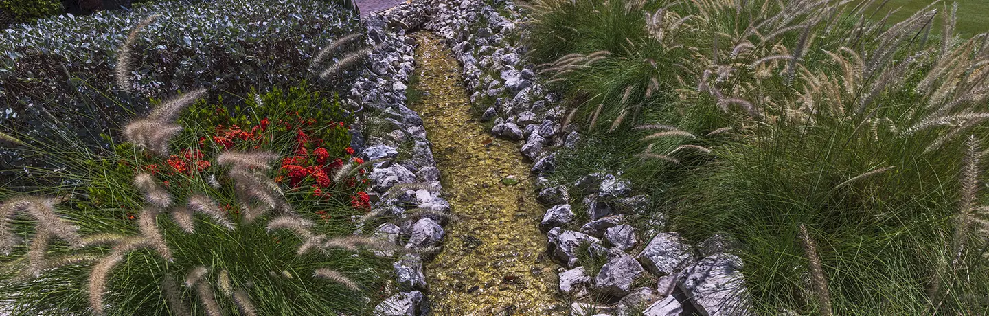 Take Control of Erosion