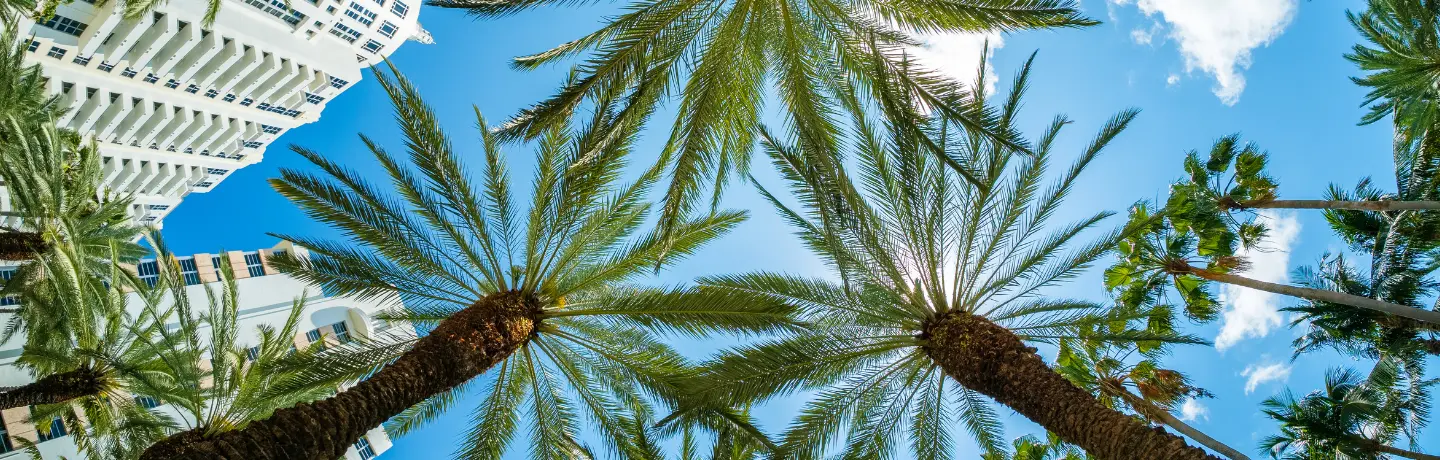 Get Summer Ready by Prepping Your Garden for Florida's Heat