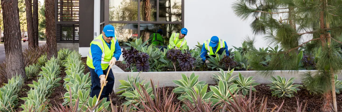 Dig Into Maintenance 