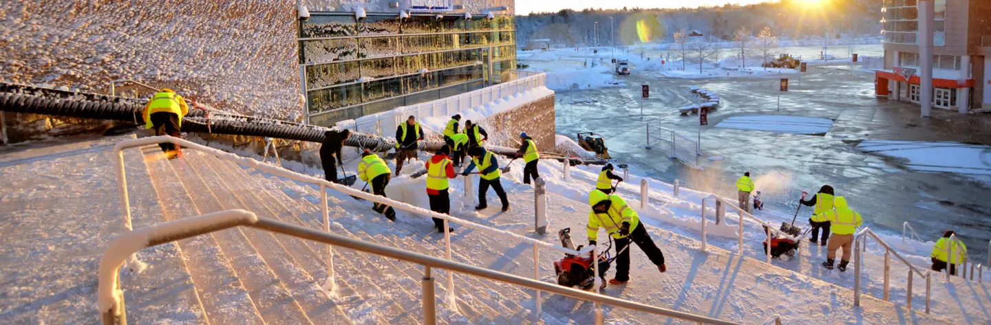 Dig Into Snow and Ice