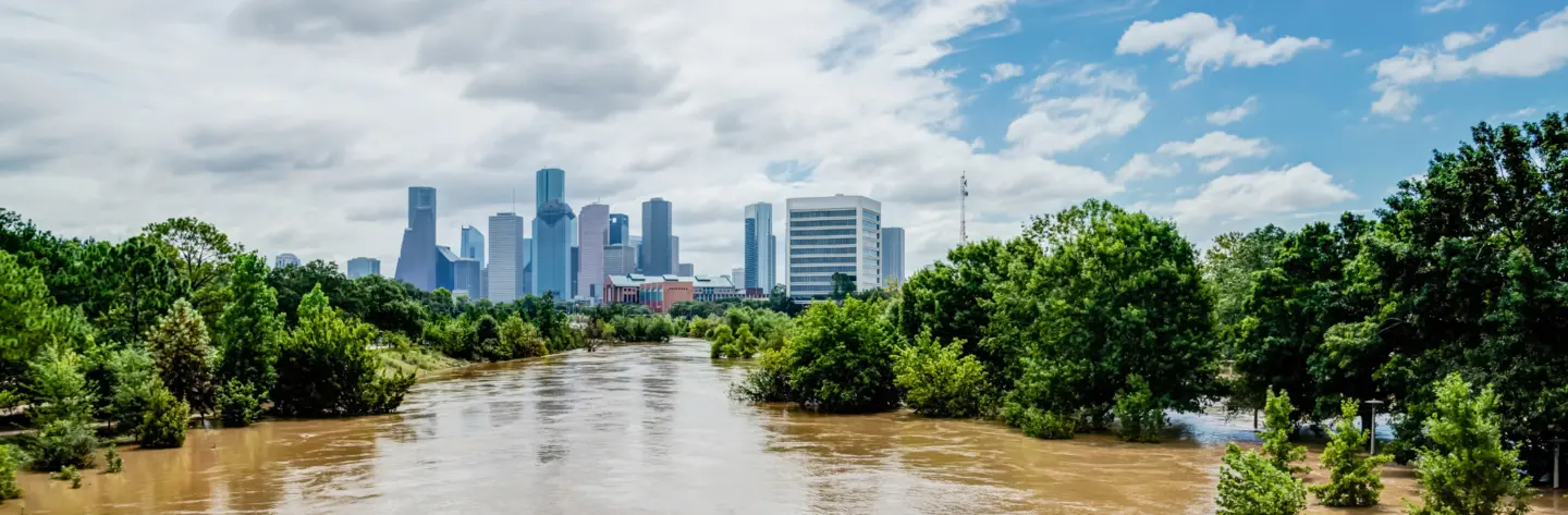 Dig Into Storm Response