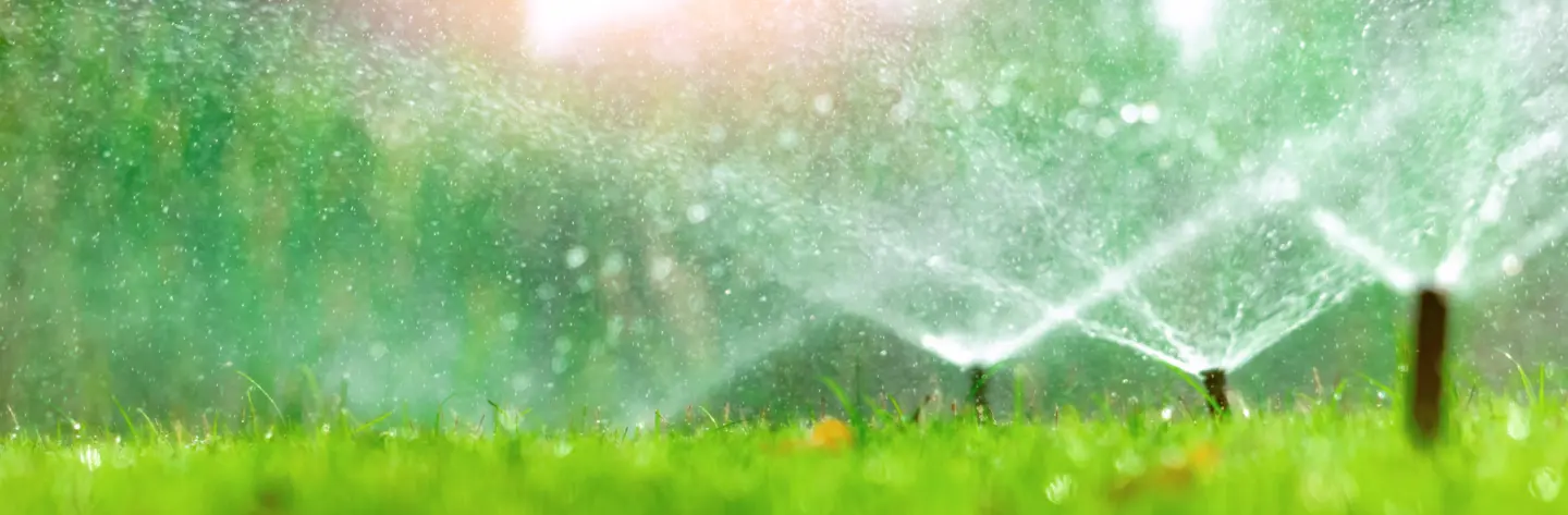 Dig Into... Water Management