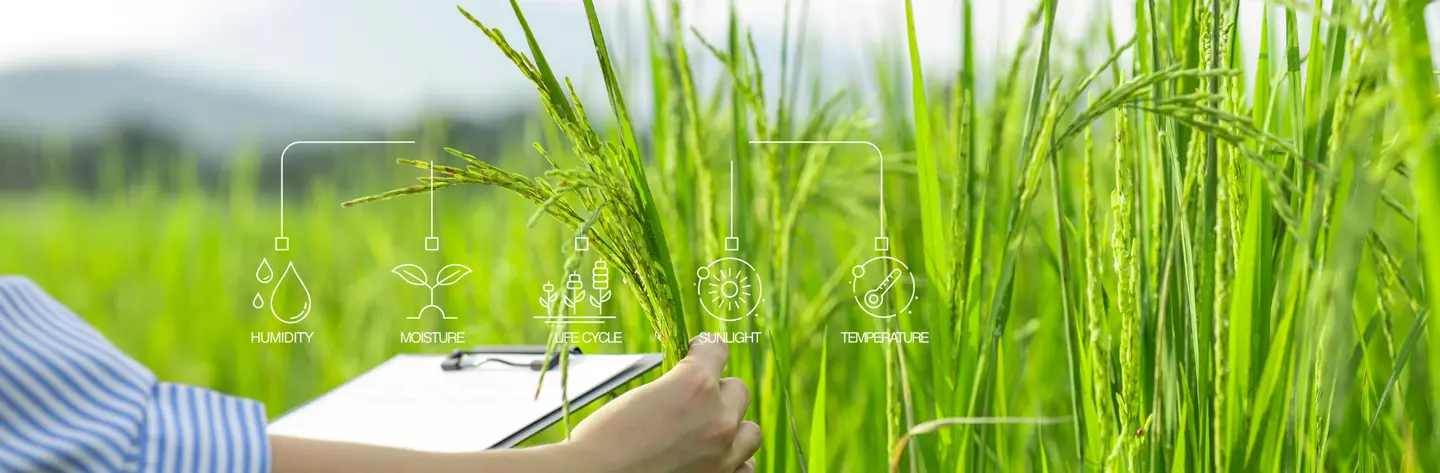 Plant healthcare review.