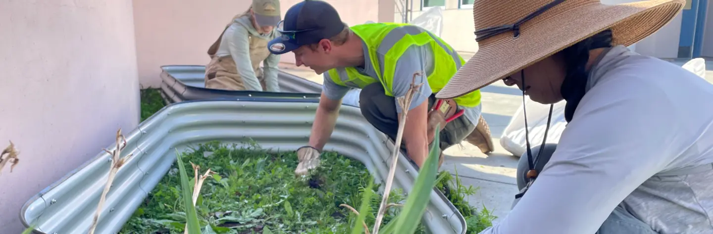 Theaurkauf Elementary School students garden beds