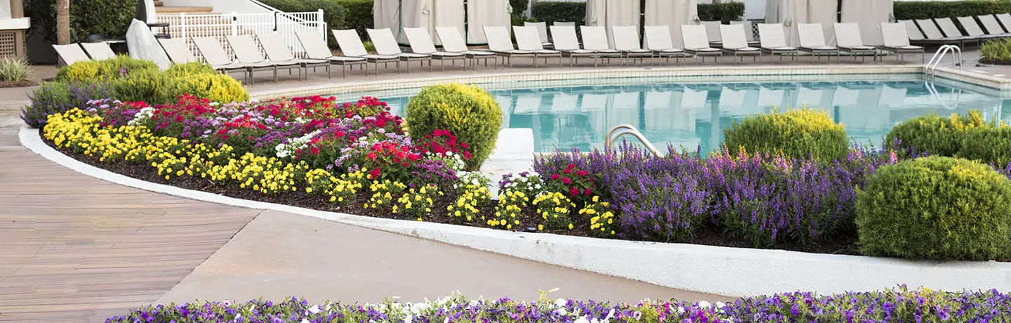 Unlock Your Hotel's Landscape Full Potential with These 3 Key Upgrades