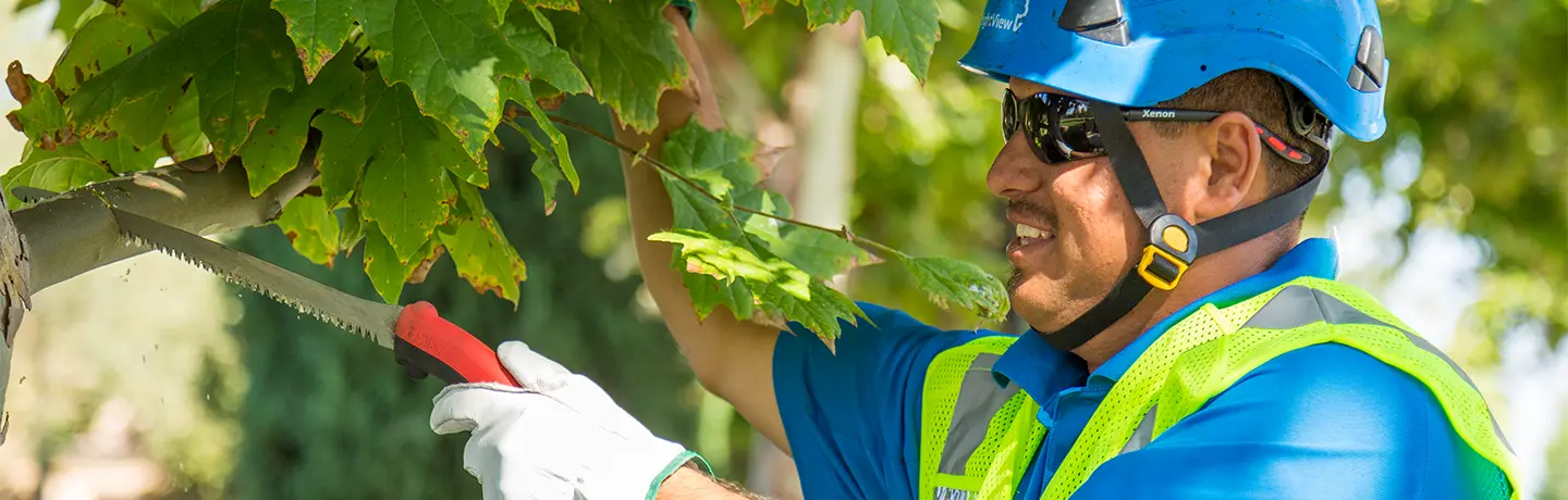 Tree care hero