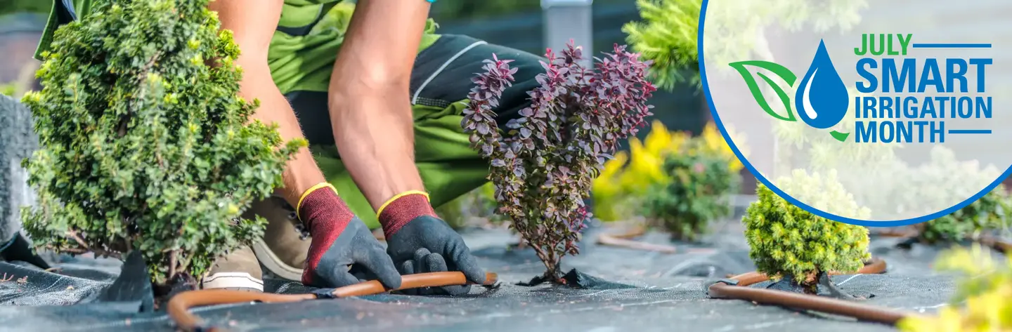 Smart Irrigation Month