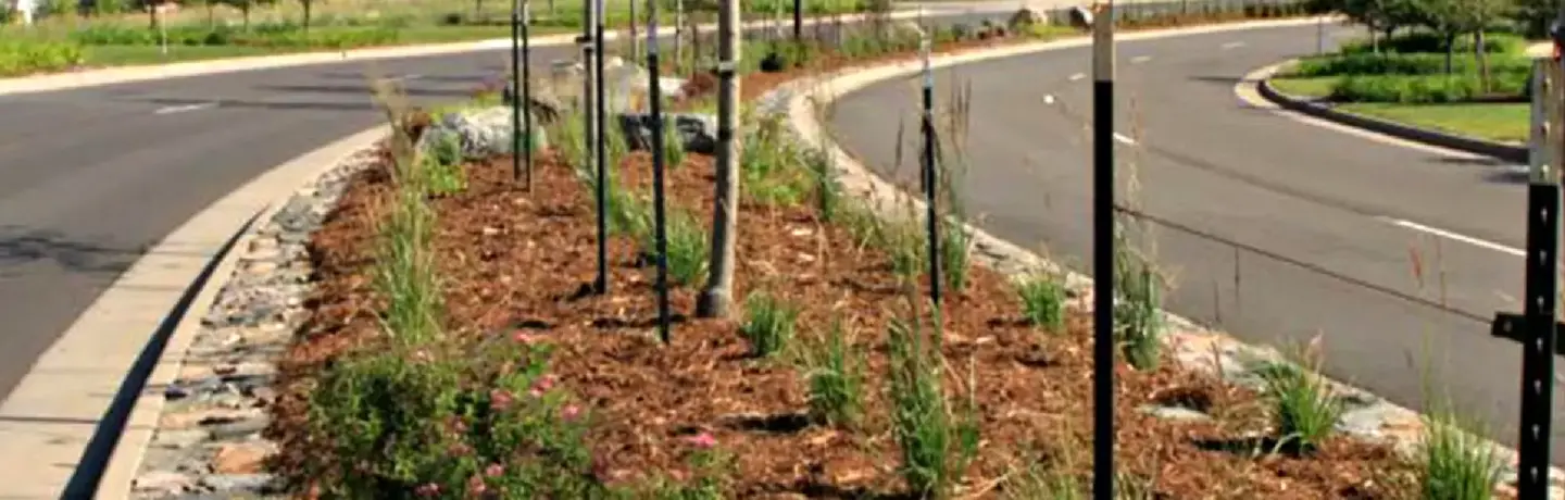 Omni Park Water Management