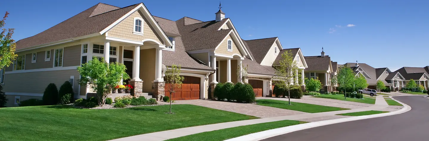 How to care for a new lawn