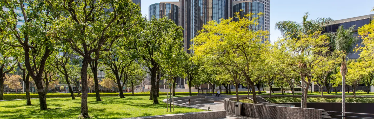 Trees landscape corporate campus