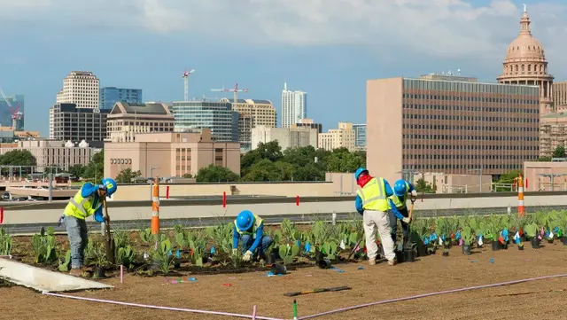 Green roof Texas university BrightView