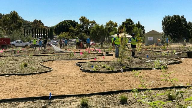 Boys Scouts interactive garden California landscaping
