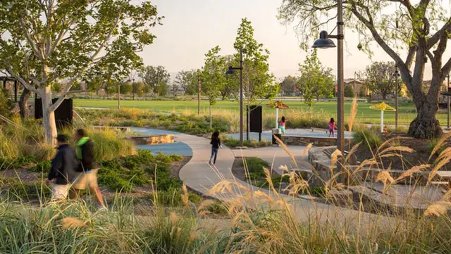 water efficient landscape