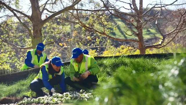 Creating a Salt Tolerant Landscape