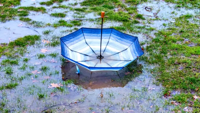 Flooded Turf from Record Rainfall