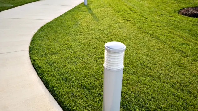 Secrets to Healthy Turf