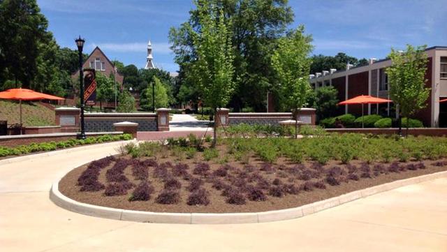 Mercer University landscaping