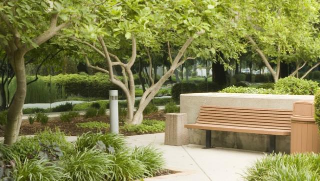 landscape bench