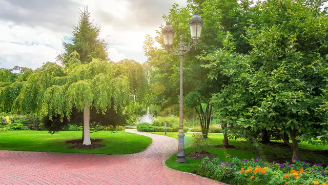 Best Mulch for Commercial Property