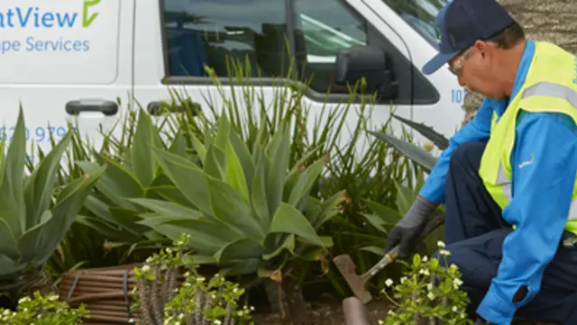 Landscape Maintenance During Drought