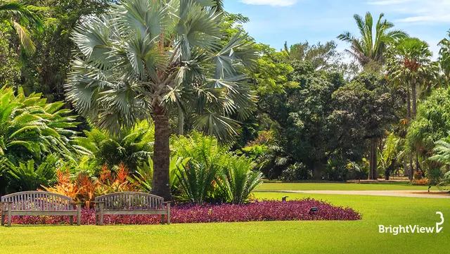 Ready to give your landscape a shot in the arm? Check out our top tips.