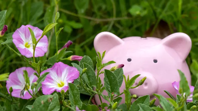 5 Clever Ways to Maximize Your HOA’s Landscaping Budget