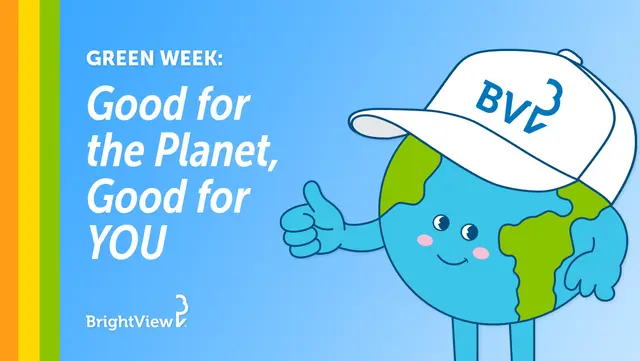 Good for the Planet, Good for You Graphic