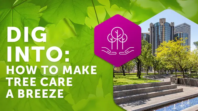 Dig Into How to Make Tree Care a Breeze