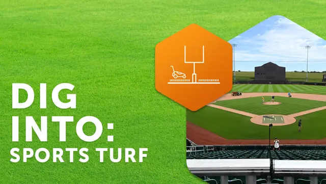 Dig Into Sports Turf