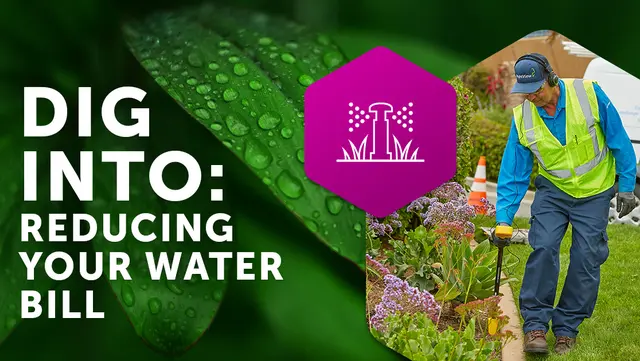 Dig Into Reducing Your Water Bill