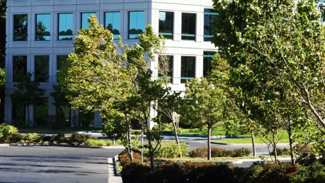 Parking Lot Landscaping