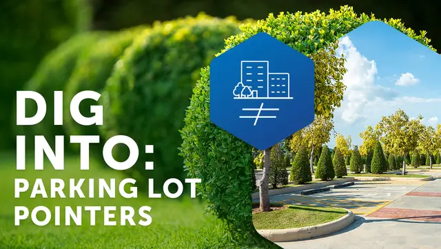 Dig Into: Parking Lot Pointers