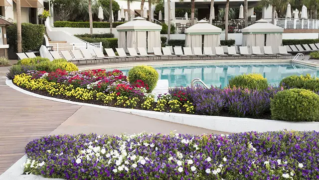 Hilton Head Pool Landscaping