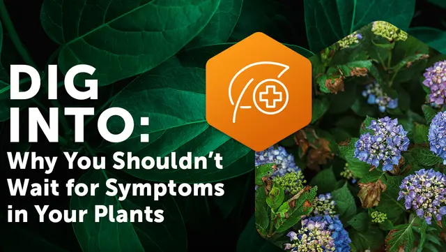Dig Into: Why You Shouldn't Wait for Symptoms in Your Plants
