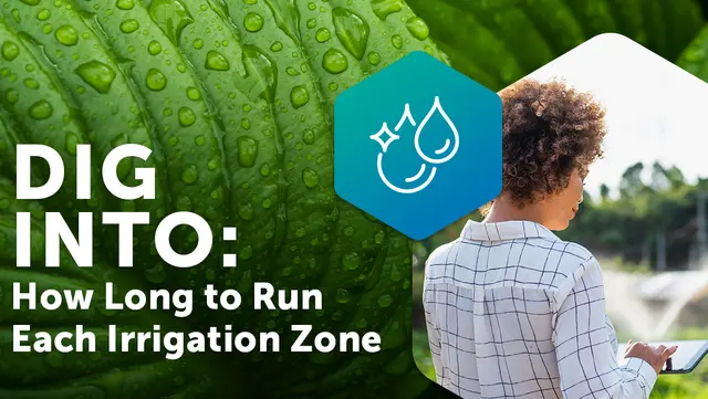 Irrigation watering