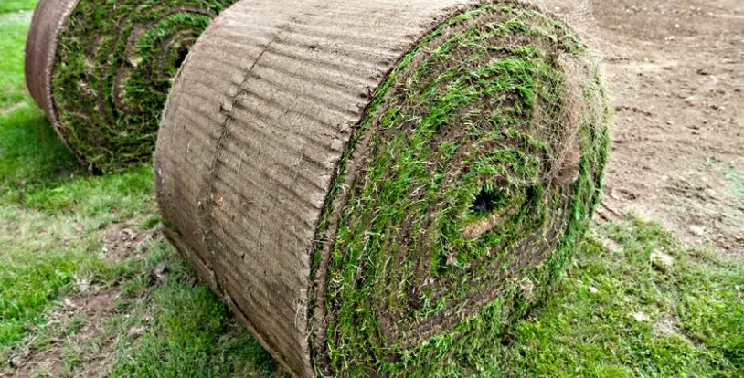 turf rolls