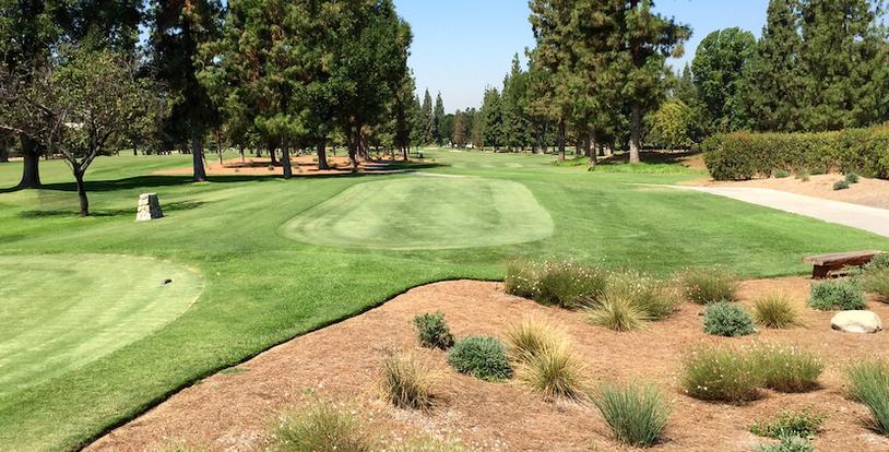 golf course greens bordered by low-water use plants
