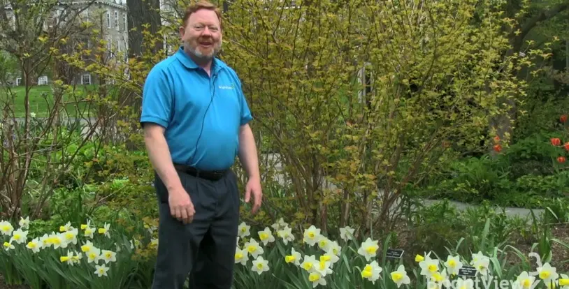 Daffodils Bruce Hellerick