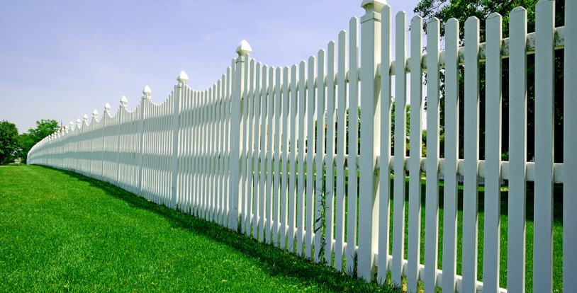 Clear Fence Line