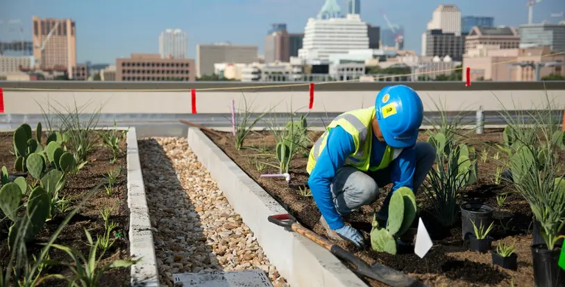 Benefits of a Green Roof