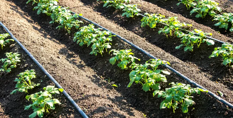 Commercial Irrigation Systems