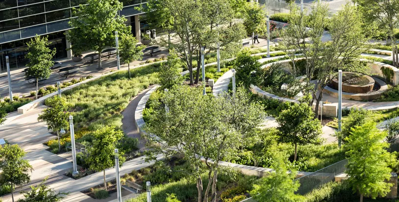 Landscape Development Healthcare Market