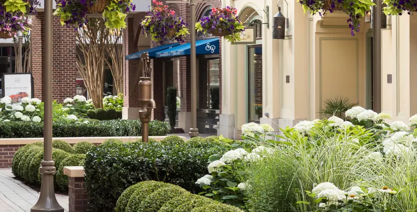 Landscape Development Retail Market