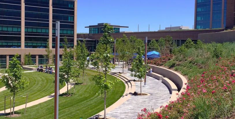 Landscape Development Commercial Market