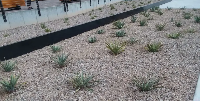 Organic Mulch vs Inorganic Mulch