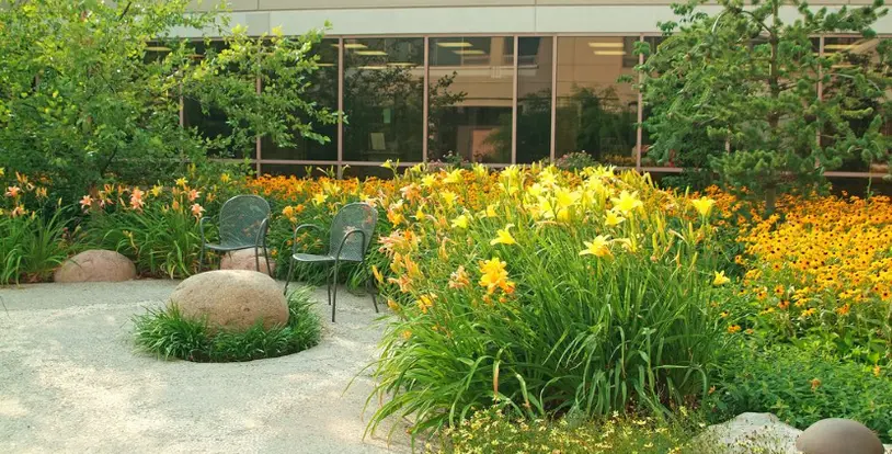 Landscapes that Promote Healing